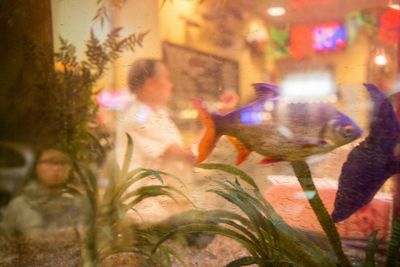 Close-up of woman in dark