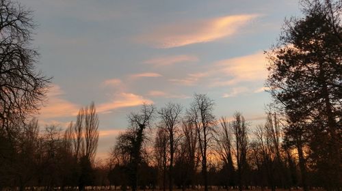 Trees on landscape against sky at sunset