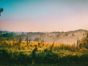 Scenic view of field against sky during foggy weather