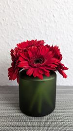 Close-up of potted plant