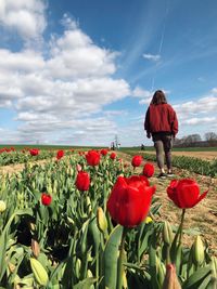 Rear view of woman standing by flowering plants on field against sky