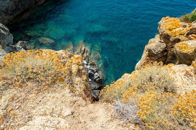 Wild sea landscape with white rocks and blue water in monte enfola, elba island, italy