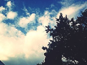 Low angle view of trees against cloudy sky