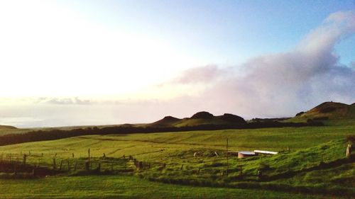 Scenic view of agricultural field against sky