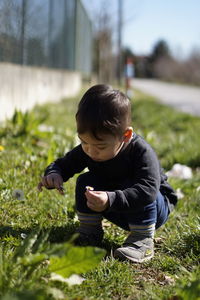 Boy in meadow