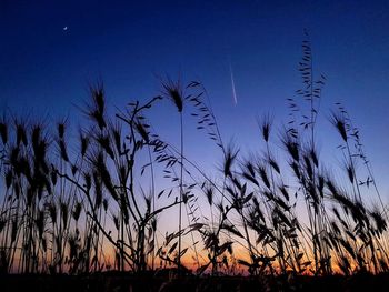 Silhouette plants against clear sky during sunset