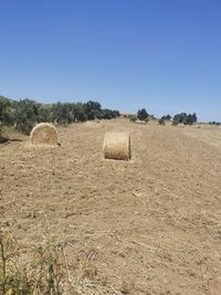 Hay bales on field against clear sky