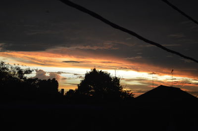 Silhouette of trees at sunset