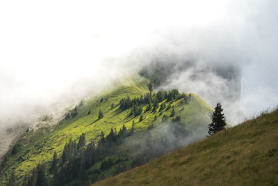 Scenic view of landscape against cloudy sky