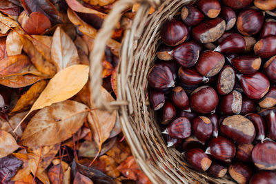 Close-up of chestnuts