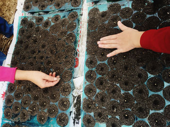 High angle view of hands touching girl