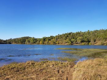 Scenic view of lake against clear blue sky