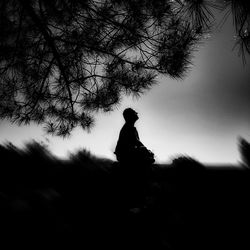 Man meditating under silhouette tree