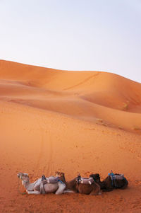 View of desert against clear sky