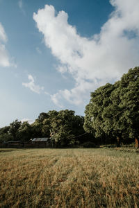 Scenic view of field against sky