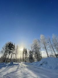 Trees on snow covered field against clear blue sky