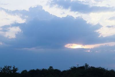 Low angle view of silhouette trees against sky