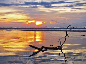 Silhouette driftwood on beach against sky during sunset