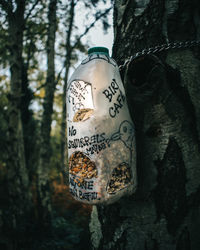 Close-up of sign on tree trunk