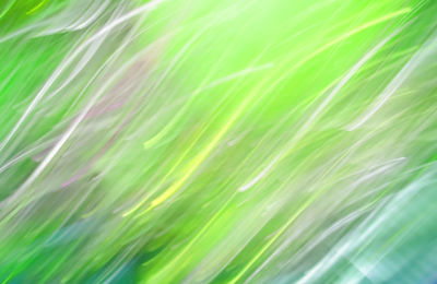 Full frame shot of grass