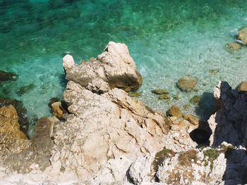 High angle view of rocks on shore