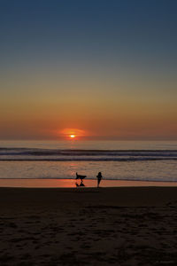 Silhouette people on beach against sky during sunset