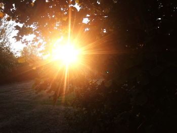 Sunlight streaming through trees on field during sunset