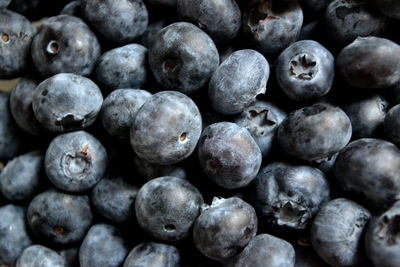 Close-up of blueberries