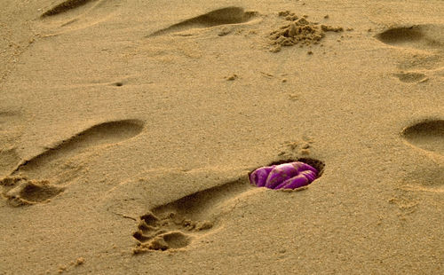 High angle view of footprint on beach