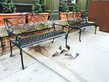 Empty chairs in a row