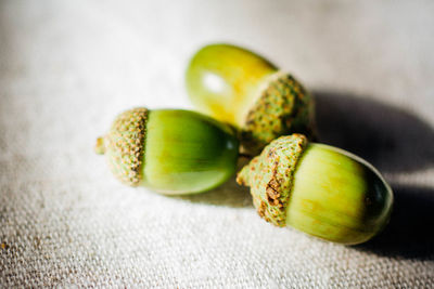 Close-up of acorn on white fabric