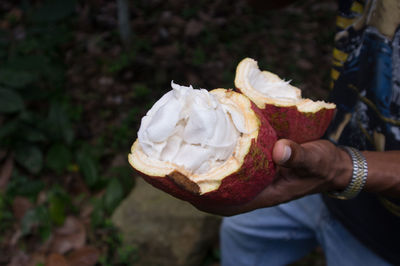 Close-up of hand holding apple