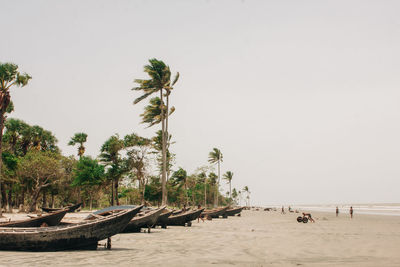 Palm trees on beach against clear sky