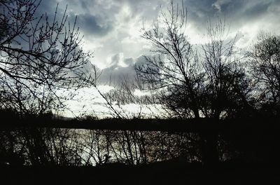 Bare trees by lake against cloudy sky