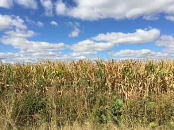 Scenic view of field against cloudy sky