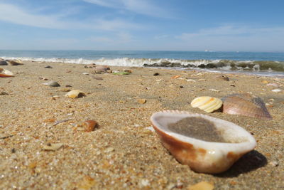 View of beach against sky