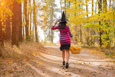 Beautiful skinny brunette witch in a witch's hat walks in the autumn forest with a basket