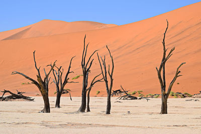 Scenic view of desert against clear sky