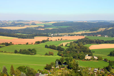 Scenic view of agricultural field against sky