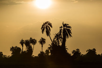 Silhouette palm trees against sky during sunset