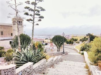 Plants and houses in town against sky