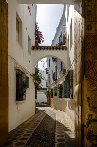 Narrow alley amidst buildings in city