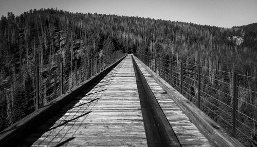 Wooden footbridge over trees in forest