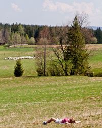 Scenic view of trees on field against sky