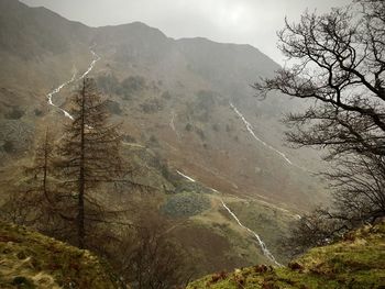 Scenic view of landscape and mountains
