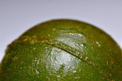 Close-up of wet glass against white background