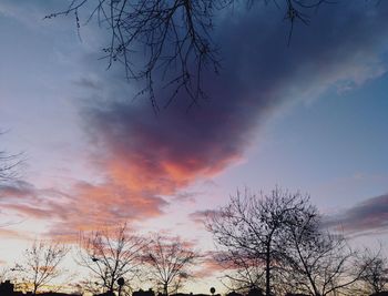 Low angle view of silhouette trees against sky at sunset