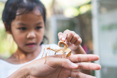 Close-up of girl touching at cropped hand holding insect