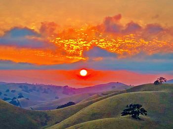 Scenic view of landscape against orange sky