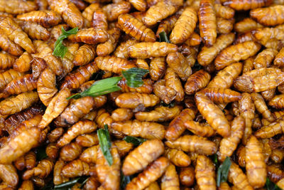 Full frame shot of roasted for sale at market